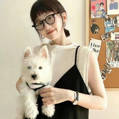 战地情莺 缩略图