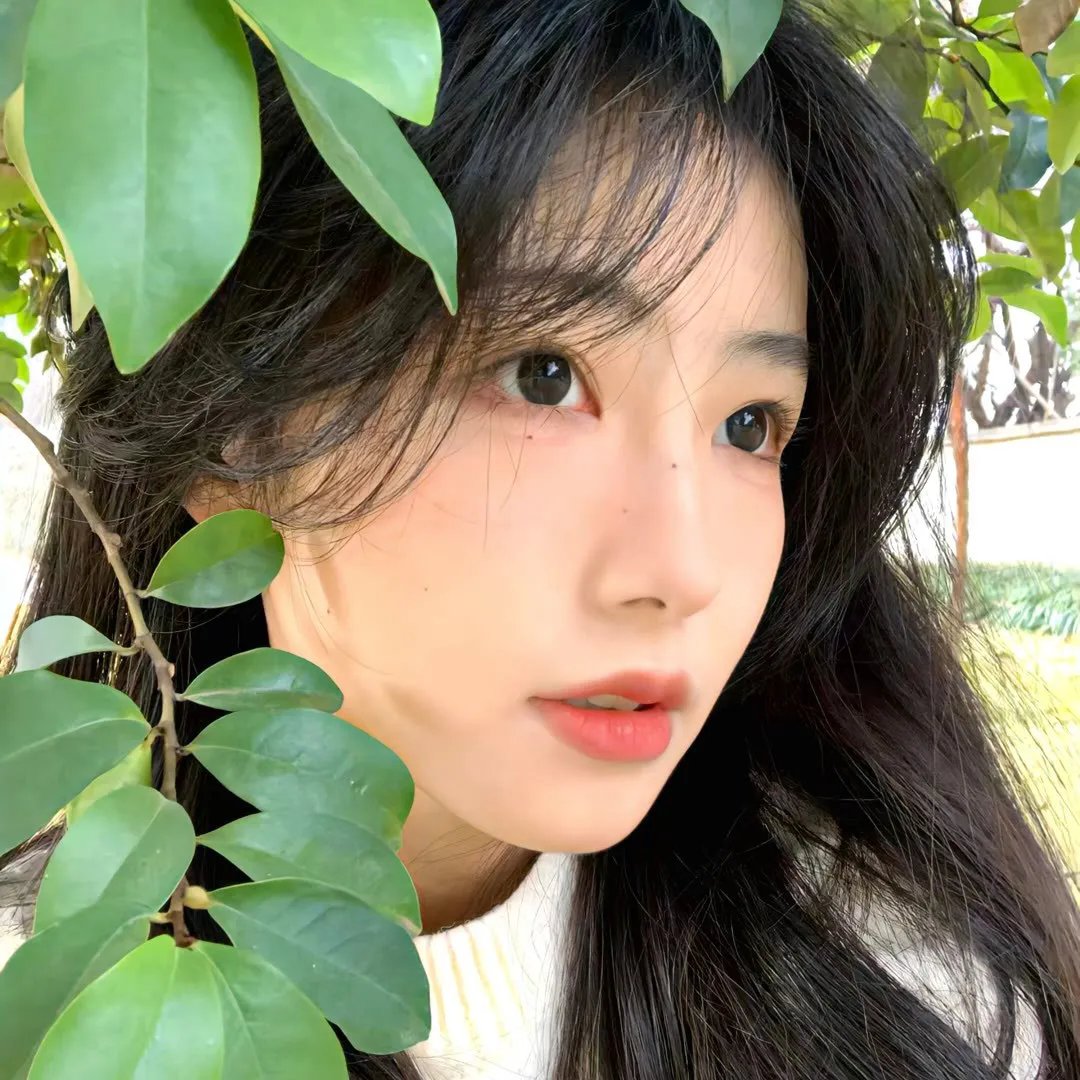人生访客 封面